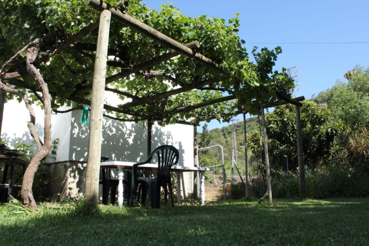 Casa La Maceta Vila Cádis Exterior foto